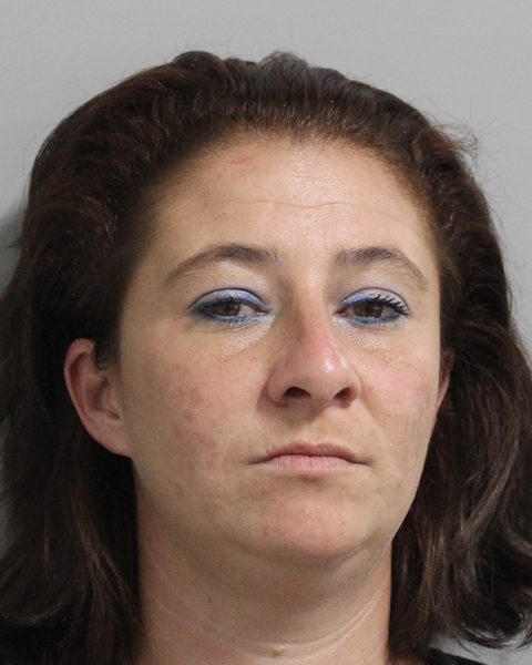 Booking photo of Dwyn Artz