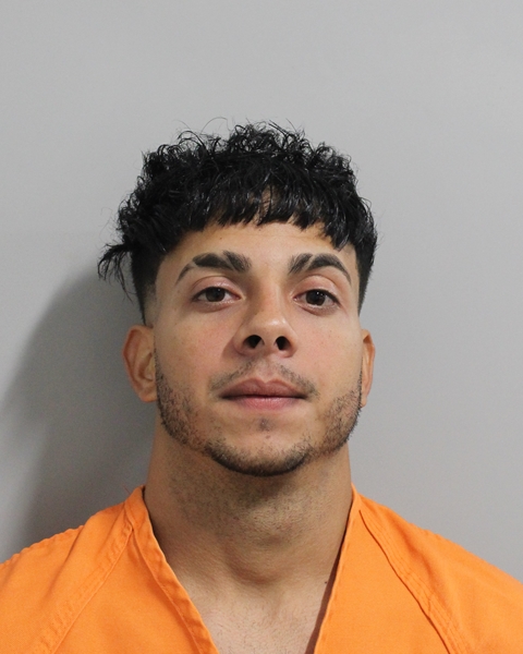 Rubisney Leyva Rodriguez booking photo