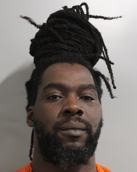 Booking photo of David Robinson