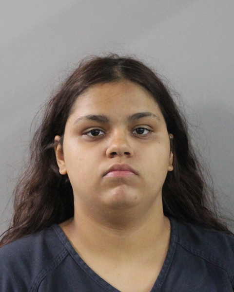 Edna Torres booking photo