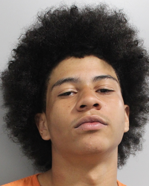 Booking photo of Armani Peterson