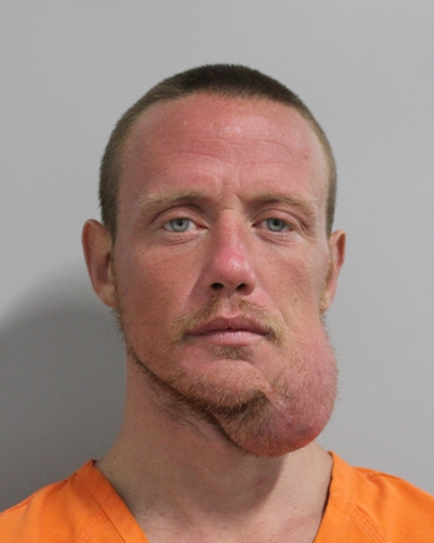 Booking photo of Trevor King