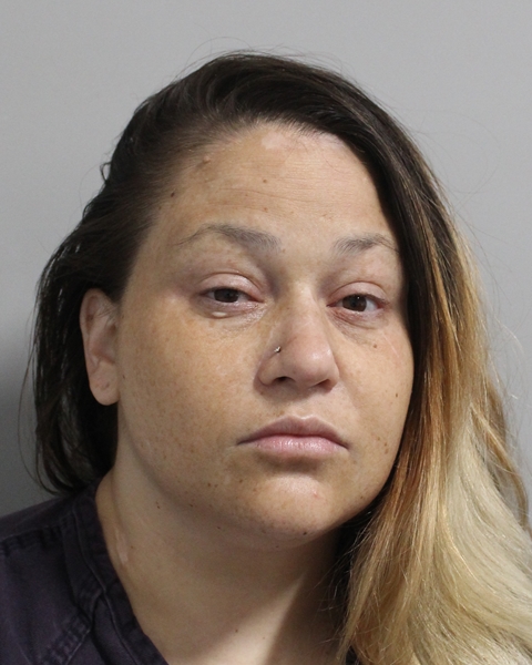 Caitlin Harvey booking photo