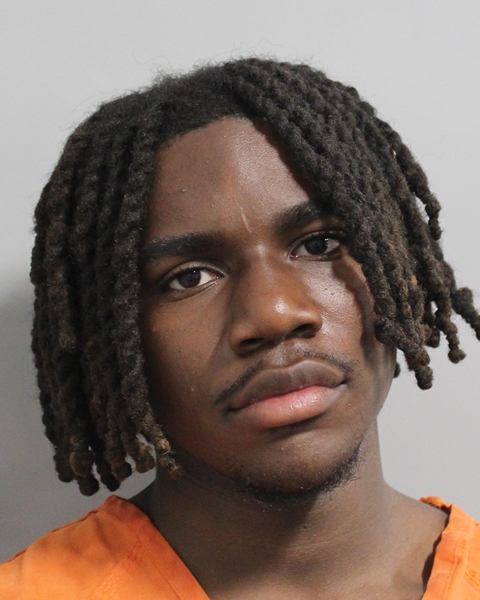 Jordan Williams booking photo