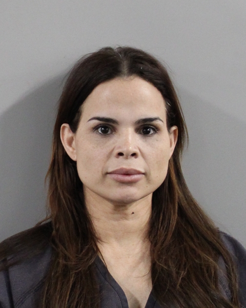 Yenifer Concepcion booking photo