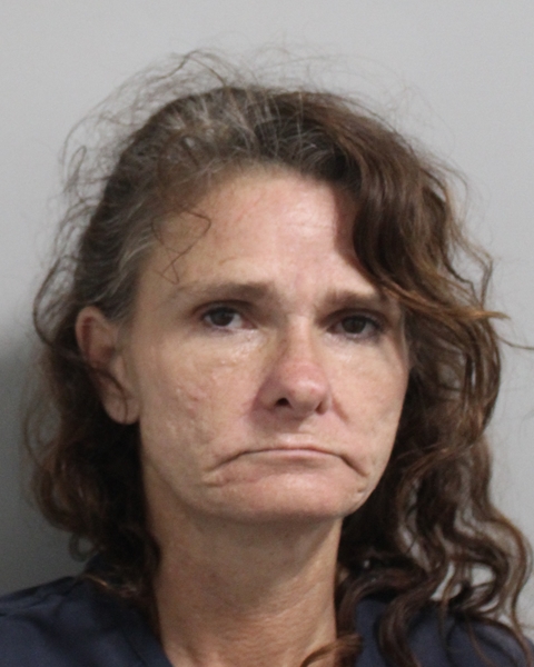 Booking photo of Linda Robinson
