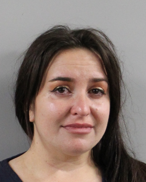 Booking photo of Gina Eliason
