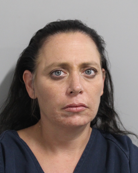 Booking photo of Gina Jensen-hlasnick