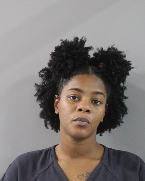 Booking photo of Whitney Mcintosh