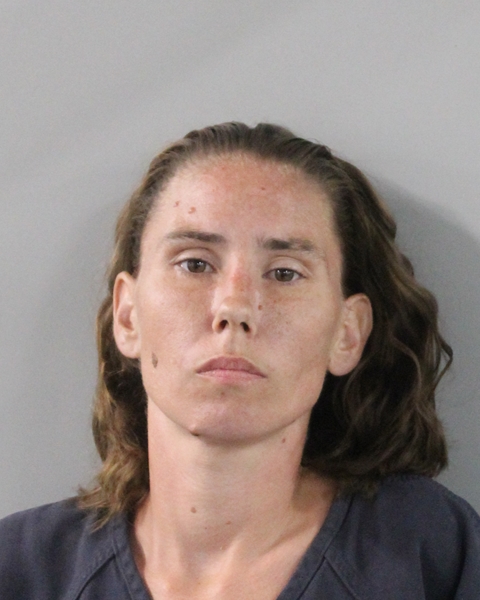 Booking photo of Anna Fain