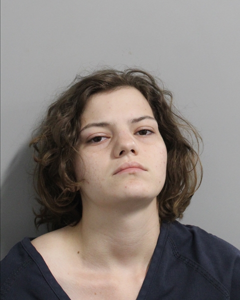 Booking photo of Kayla Hinks