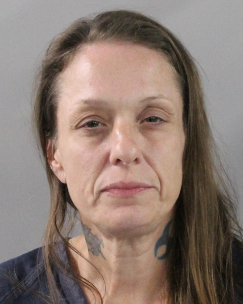 Booking photo of Stacie Evins