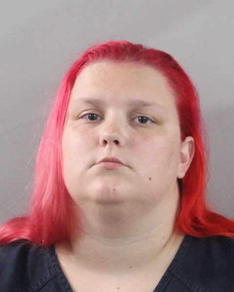 Booking photo of Dominique Wilson