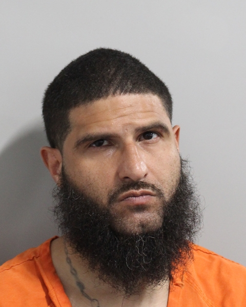 Booking photo of Emmanuel Medina