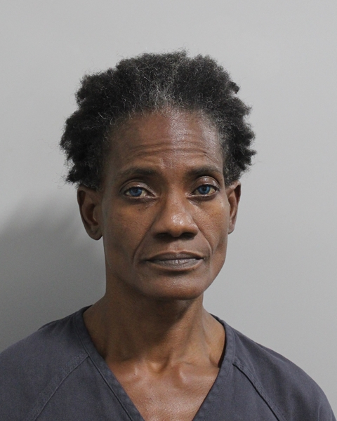 Luchina Gantt booking photo