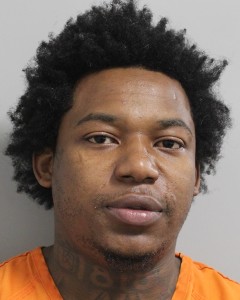 Booking photo of Widley Olivier