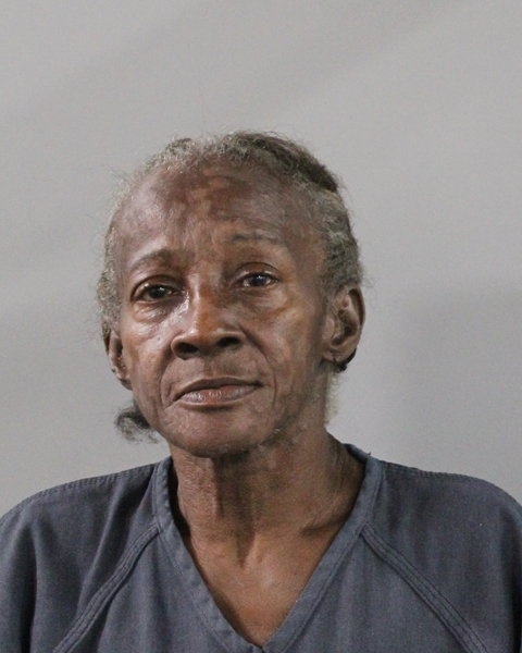 Booking photo of Linda Henry