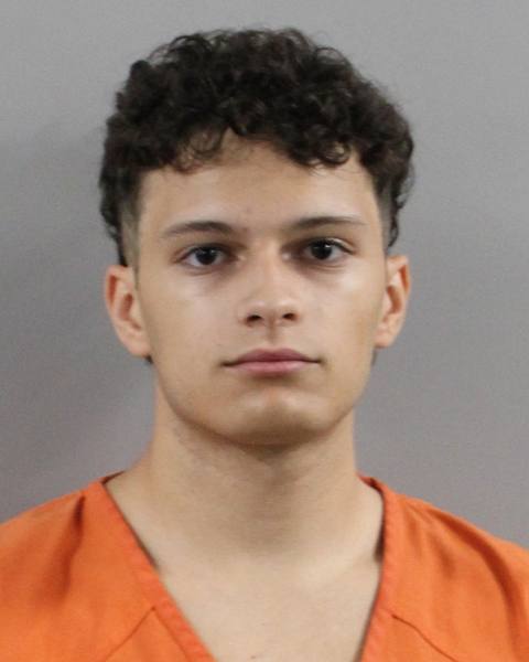 Booking photo of Lucas Gonsalves