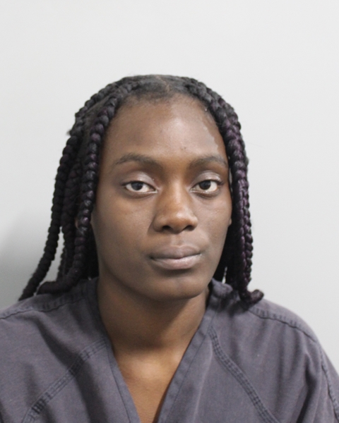 Booking photo of Ismide Azor