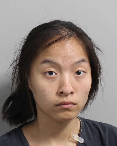 Booking photo of Emily Todd