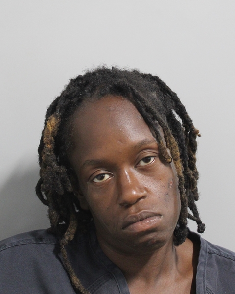 Booking photo of Rebecca Degelus