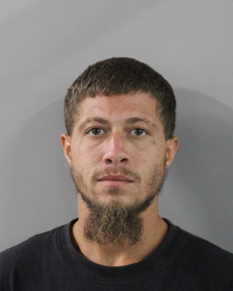 Booking photo of Rafael Vives