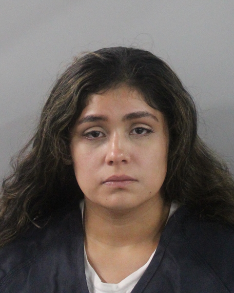 Booking photo of Daniela Fuerte