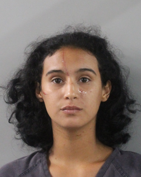 Vanessa Rosario booking photo