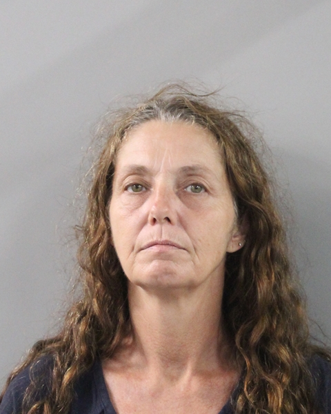 Booking photo of Wanda Parrett