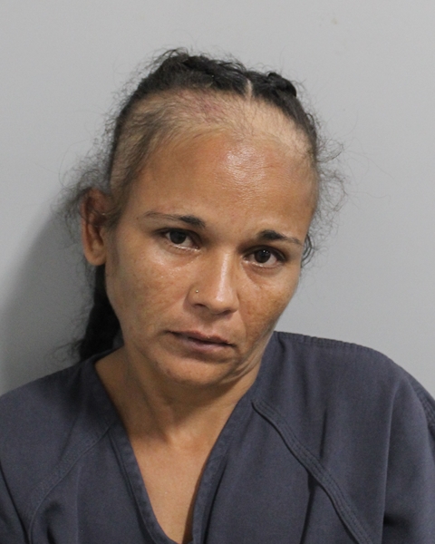 Booking photo of Luz Mariani Santiago