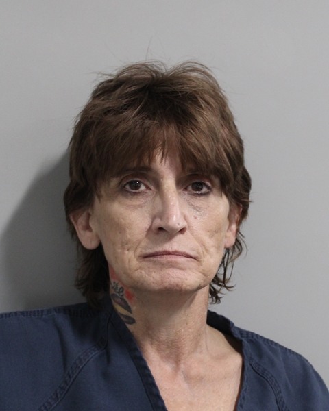 Booking photo of Theresa Kotas