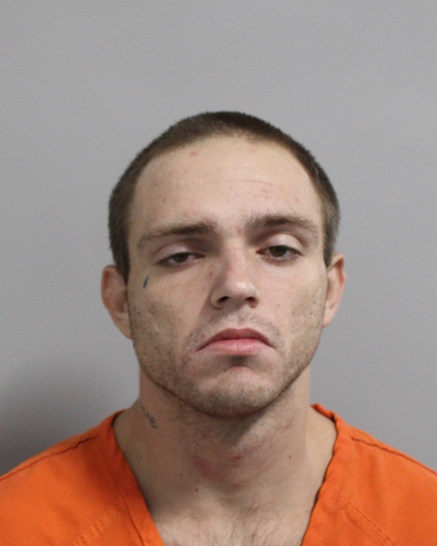 Booking photo of Dallas Love