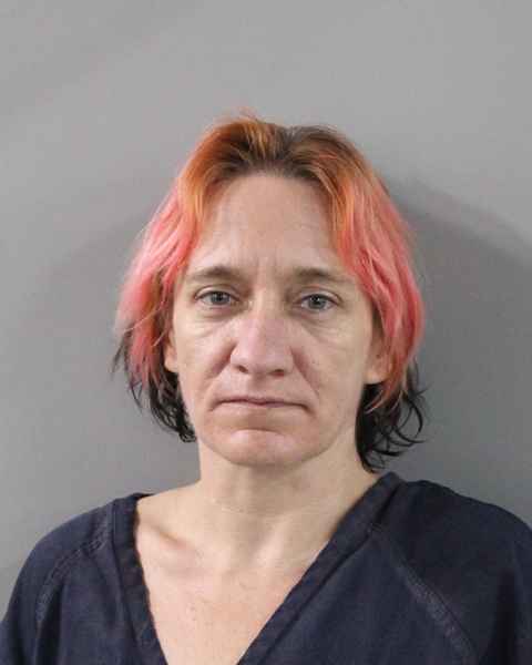 Booking photo of Jessica Coban