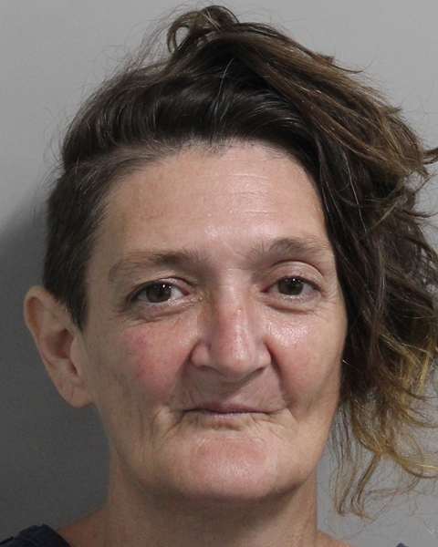 Booking photo of Erin Parks