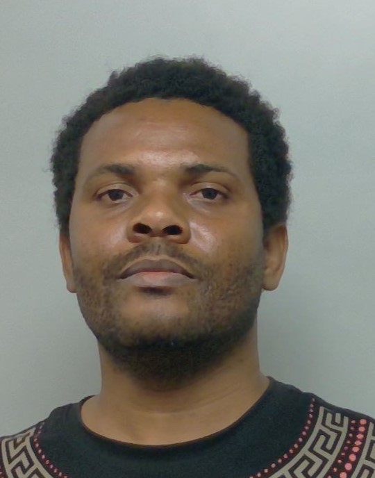 Booking photo of Donaldson Avril