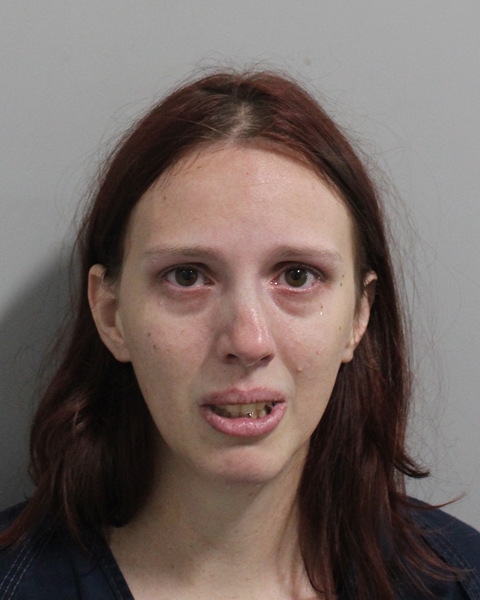 Loise Lane booking photo