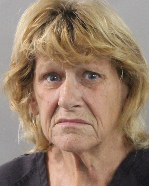 Booking photo of Janet Wilson