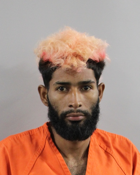 Booking photo of Somer Lobo Martinez