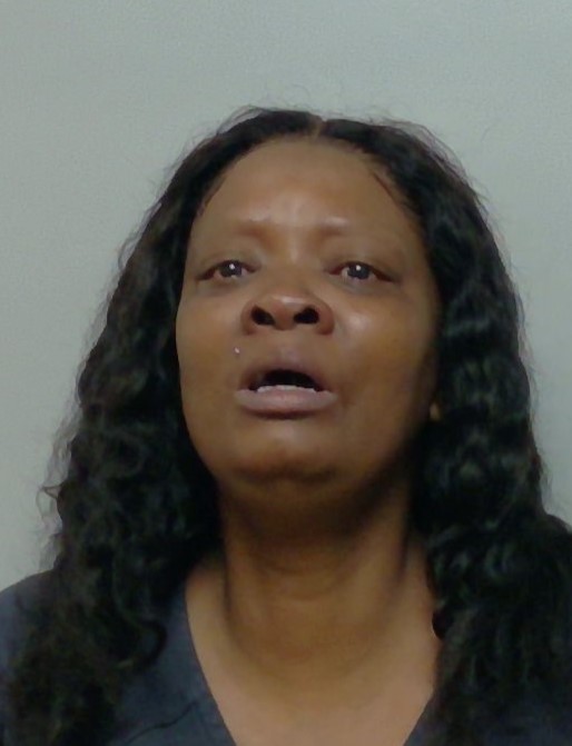 Booking photo of Natasha Lee