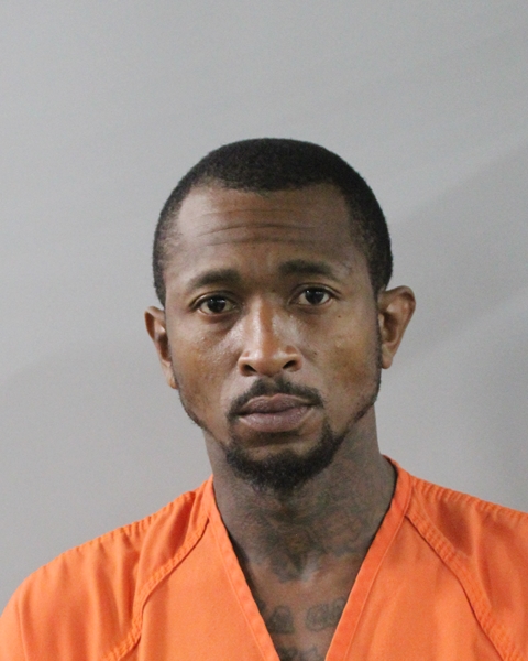 Booking photo of Joscelyn Evering