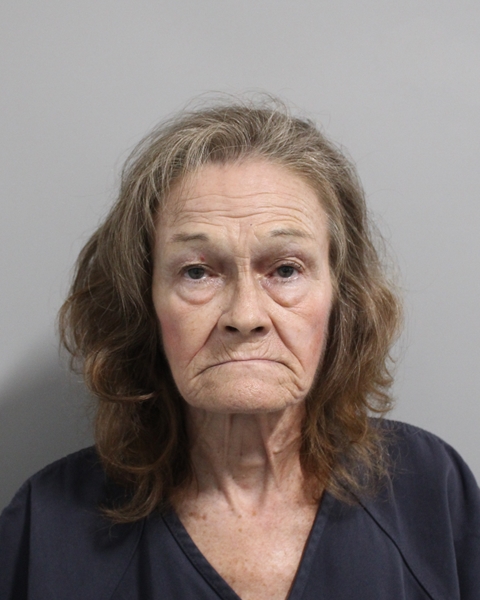 Booking photo of Diana Boyle