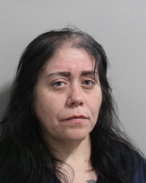 Booking photo of Jami Roberts
