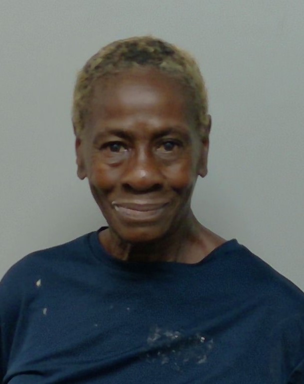 Booking photo of Tonya Gowins