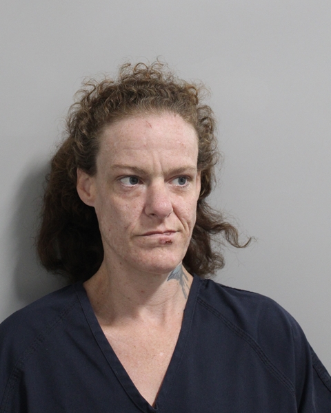 Booking photo of Renea Boone
