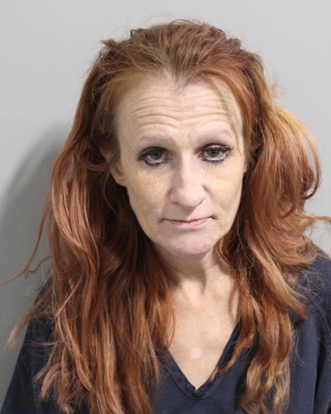 Booking photo of Ivyjane Bacigalupi