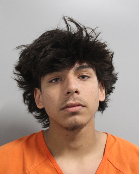 Booking photo of Chandler Harris