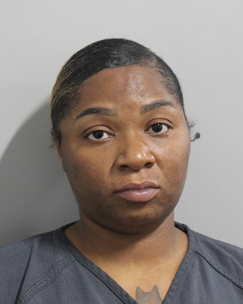 Booking photo of Michelle Mcmillian