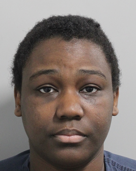 Booking photo of Jennifer Stjulien