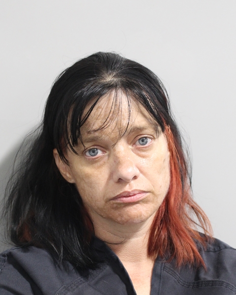 Booking photo of Tonya Meadows