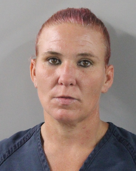 Booking photo of Brina Alderman